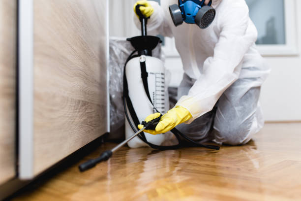 Best Cockroach Control Services  in Wildwood, FL