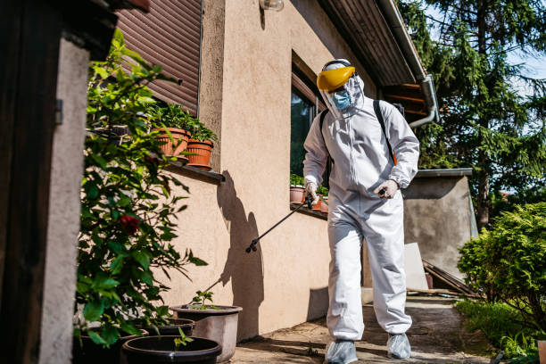Best Wasp Removal Services  in Wildwood, FL