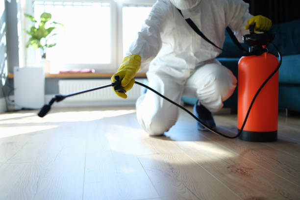 Best Local Pest Control Services  in Wildwood, FL