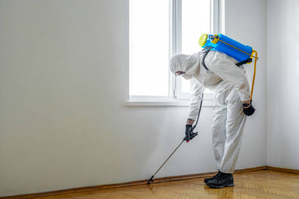 Best Best Pest Control Companies  in Wildwood, FL
