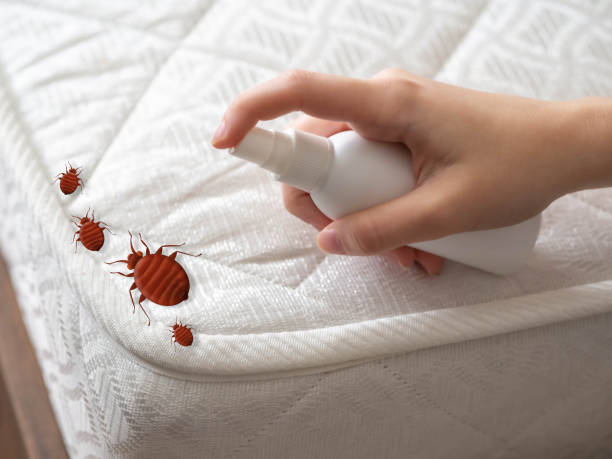 Best Pest Prevention Services  in Wildwood, FL