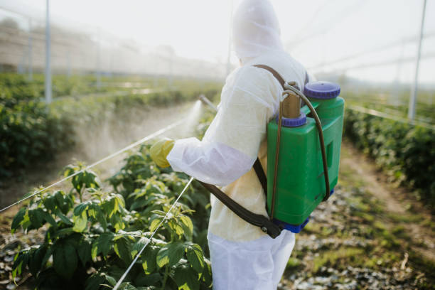 Best Residential Pest Control  in Wildwood, FL